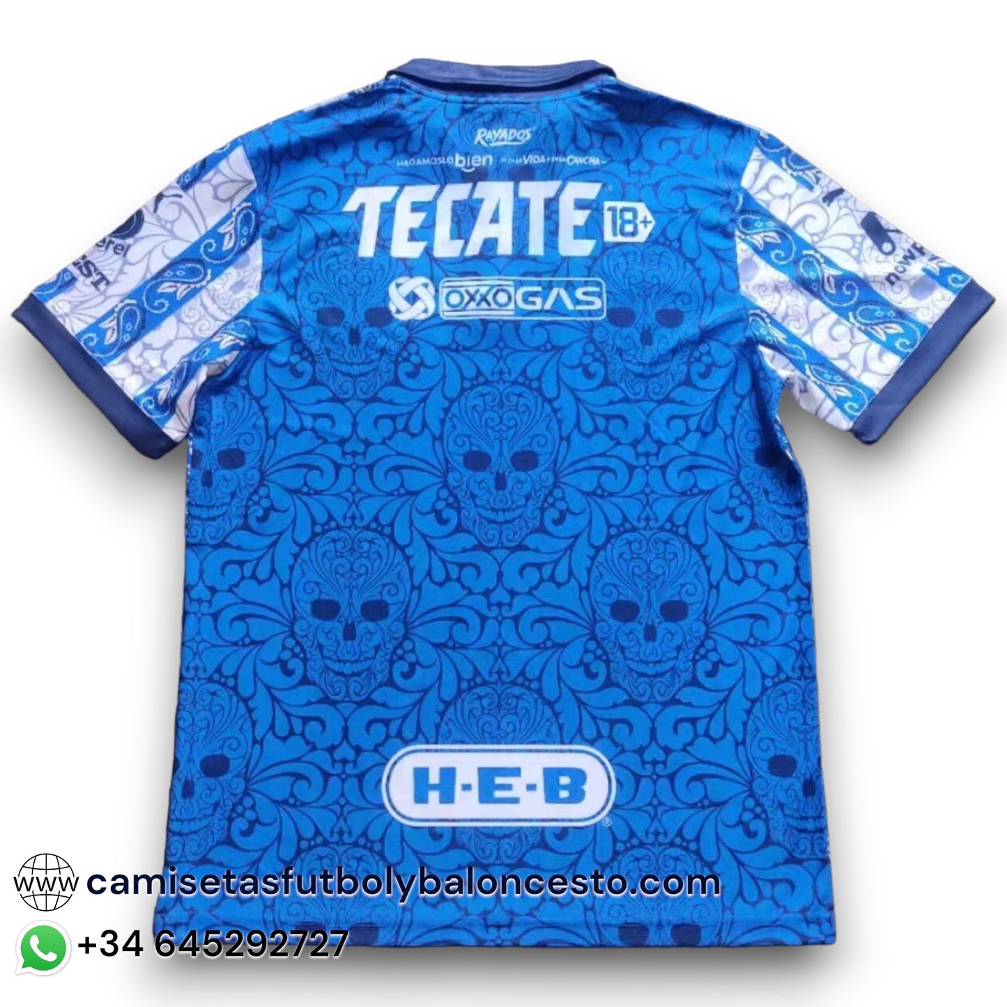 Camiseta Monterrey 2023-2024 Alternativa