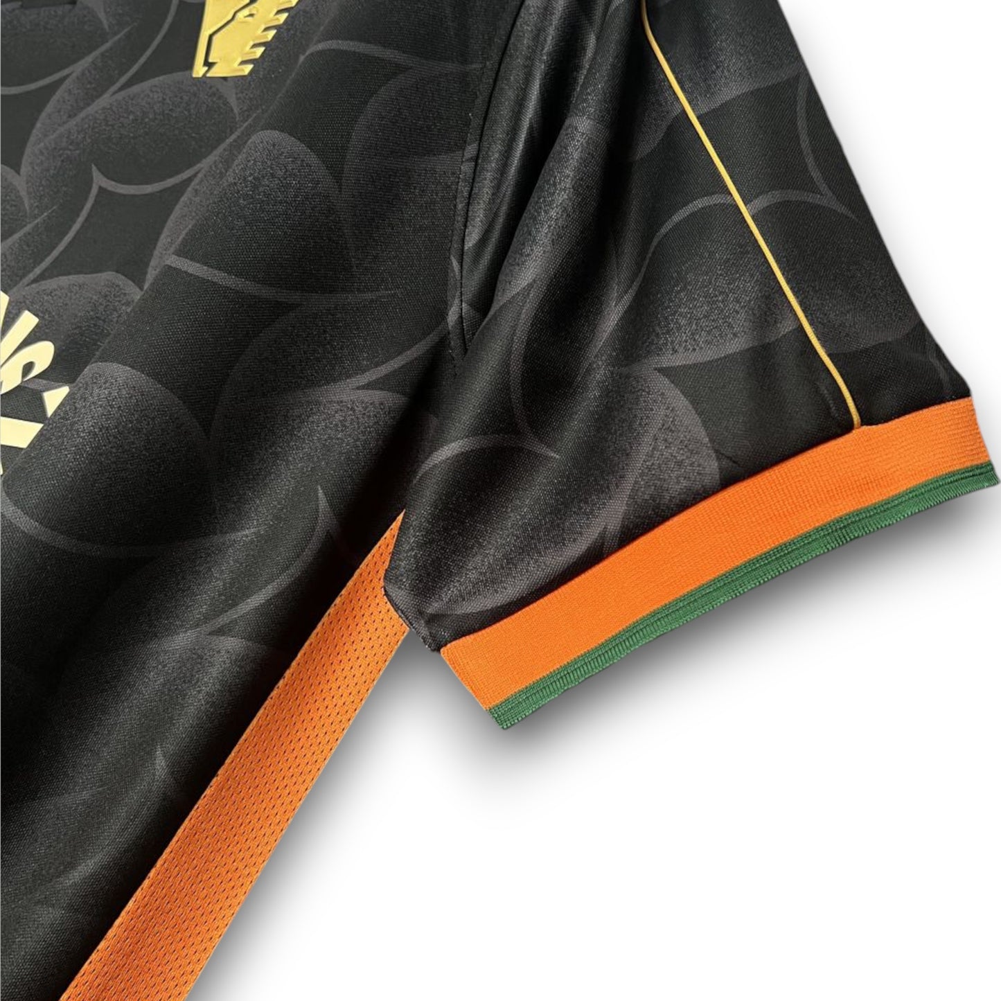 Camiseta Venezia 2024-2025 Edición Especial