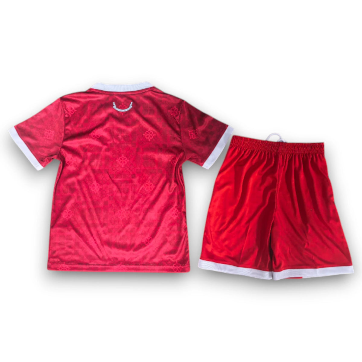 Camiseta Gales 2027 Local