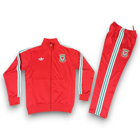 Chándal Gales 2025-2026 Local - Cremallera