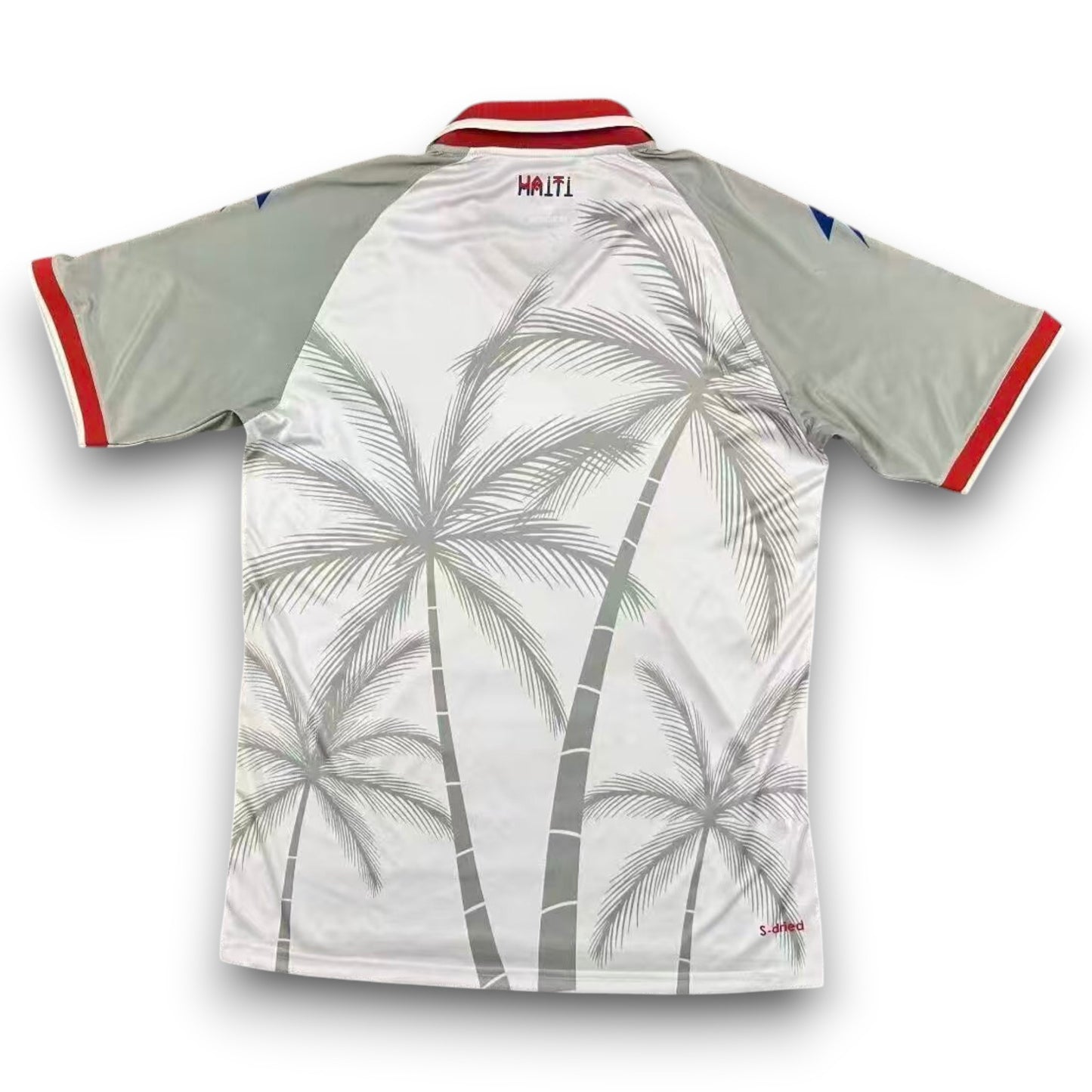 Camiseta Haiti 2026-2027 Visitante