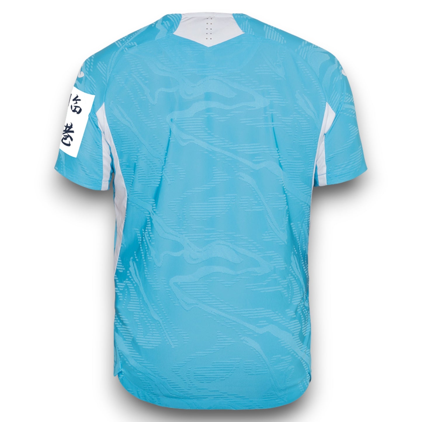 Camiseta Hoffenheim 2025-2026 Visitante