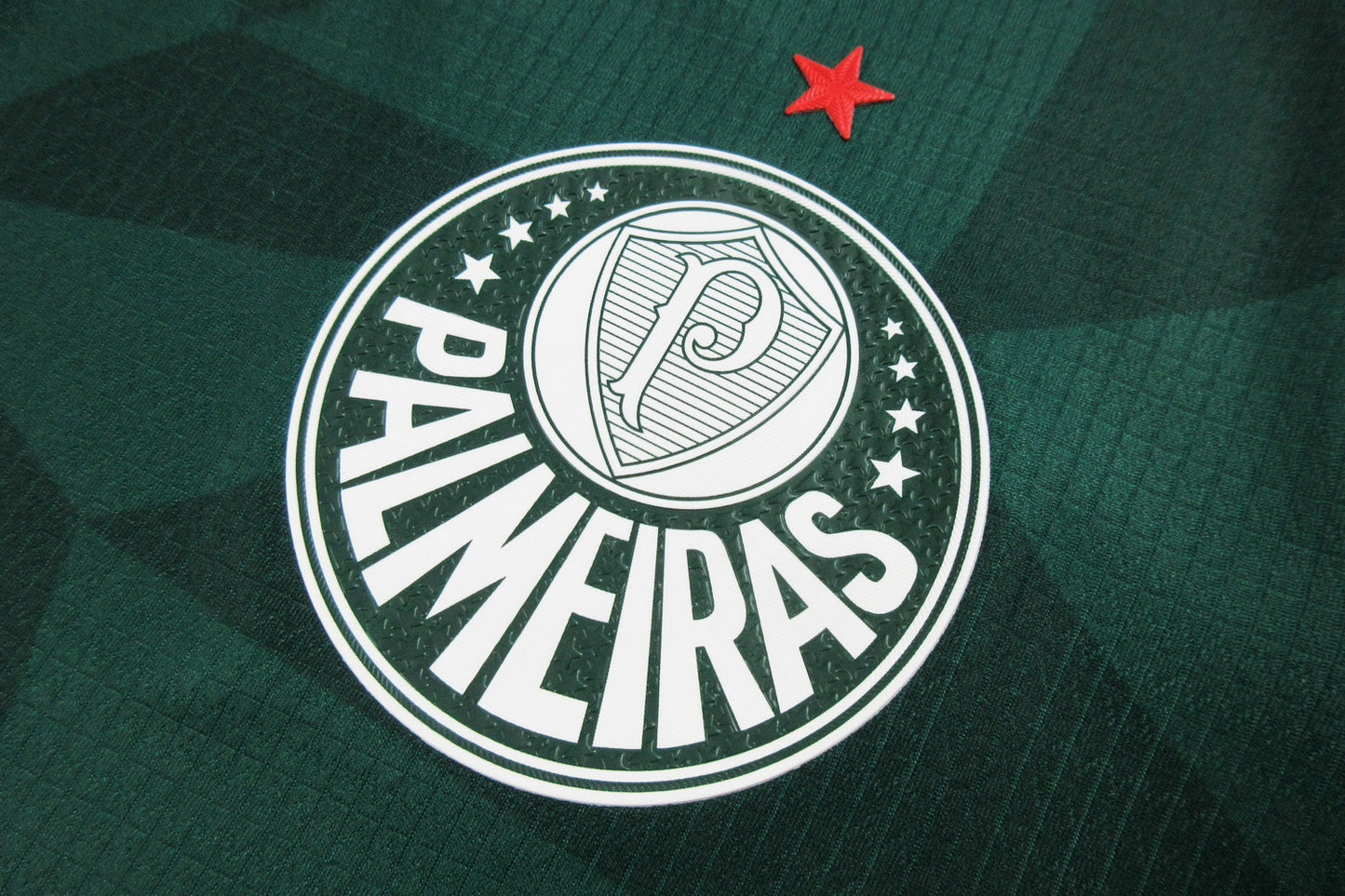 Camiseta Palmeiras 2023-2024 Local - Version Pro Player