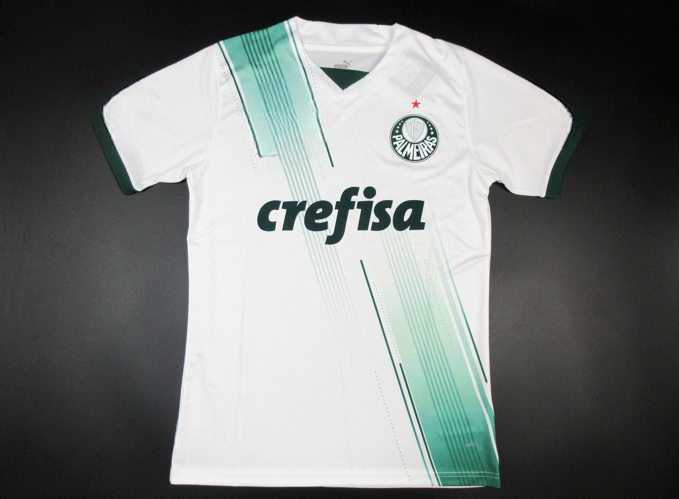 Camiseta Palmeiras 2023-2024 Visitante - Version Pro Player