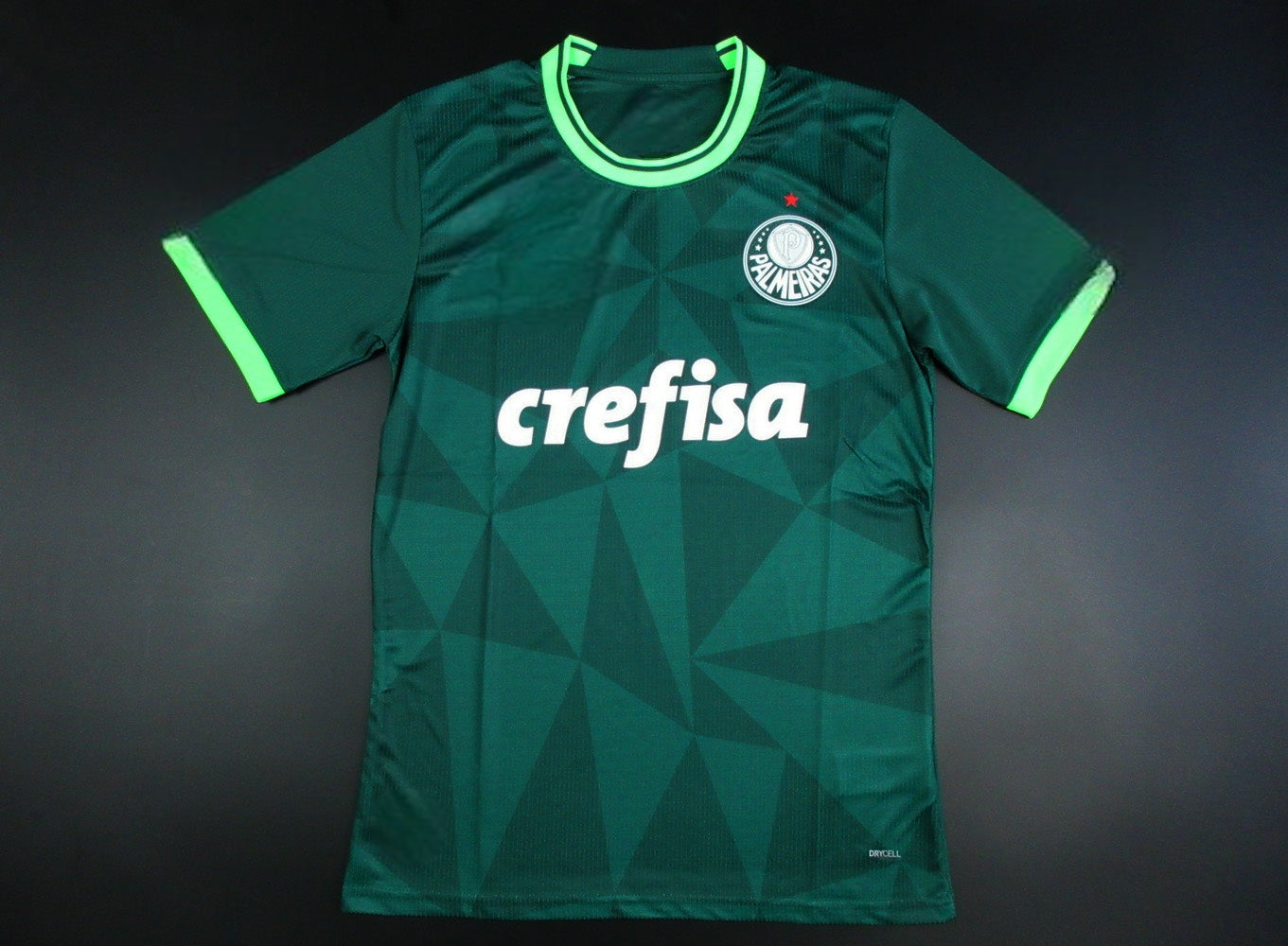 Camiseta Palmeiras 2023-2024 Local - Version Pro Player