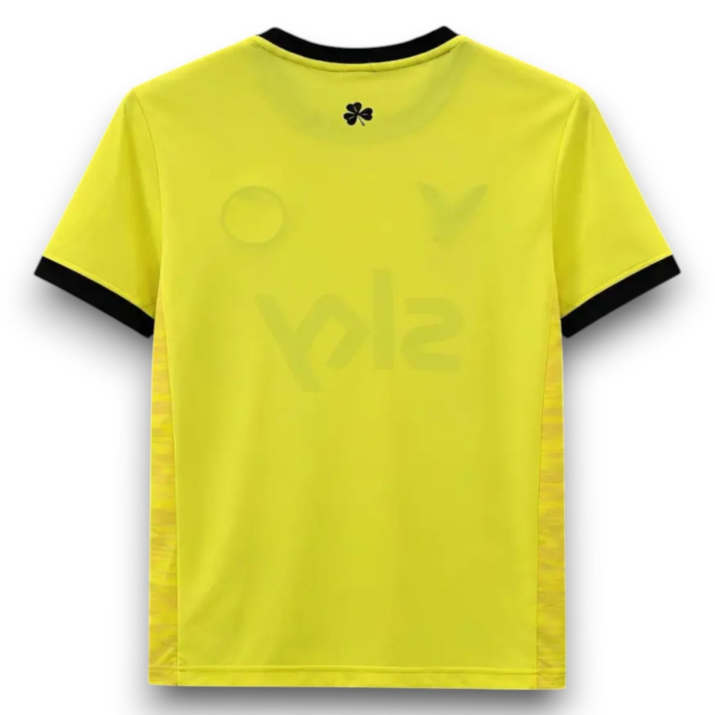 Camiseta Irlanda 2026-2027 Portero Visitante