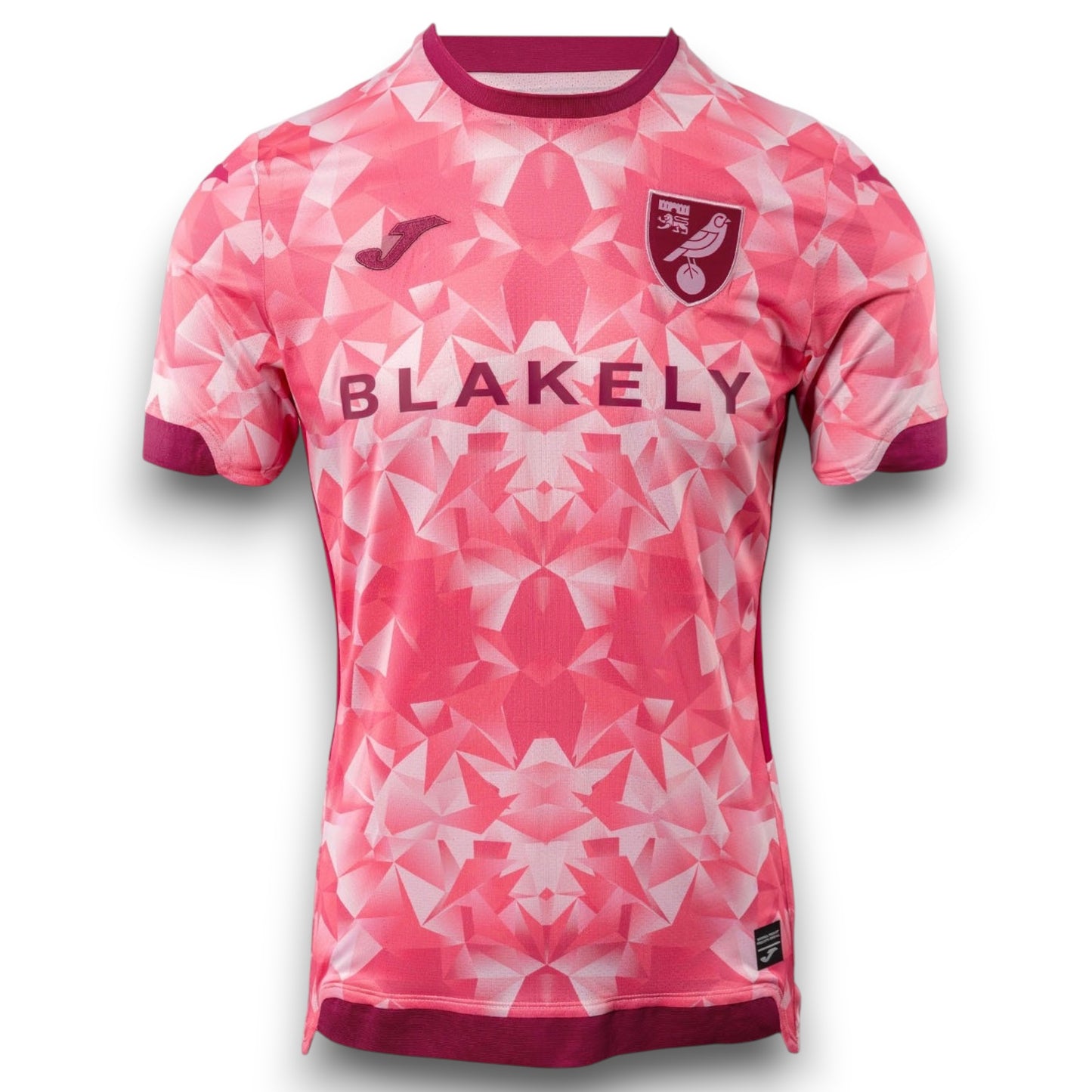 Camiseta Norwich City 2025-2026 Alternativa